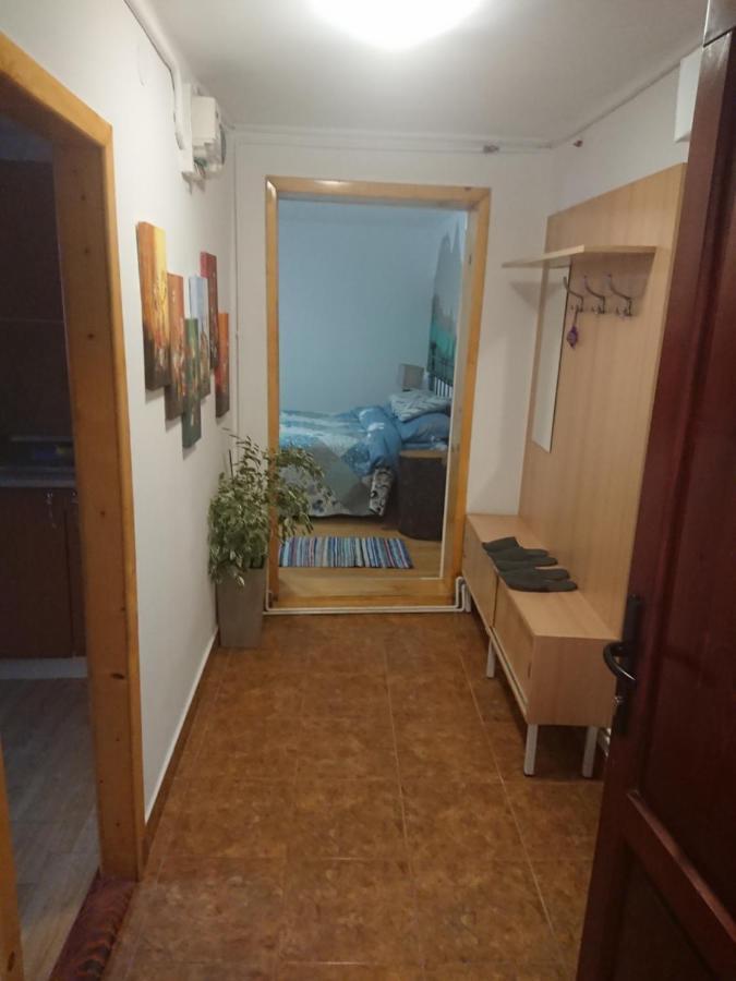Katy'S Studio Apartamento Braşov Exterior foto